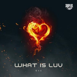 What Is Luv (Radio Edit)