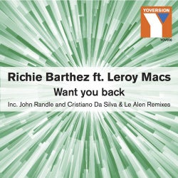 Want You Back (feat. Leroy Macs)