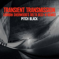 Transient Transmission (Adrian Sherwood's Delta B(0)=B Remix)
