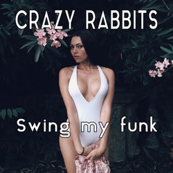 Swing my Funk