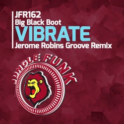 Vibrate (Jerome Robins Groove Remix)