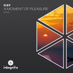 A Moment Of Pleasure