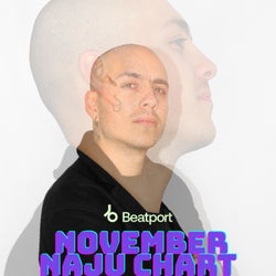 NOVEMBER NAJU CHART