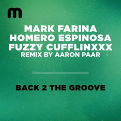 Back 2 The Groove (Aaron Paar Remix)