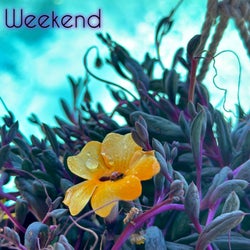 Weekend