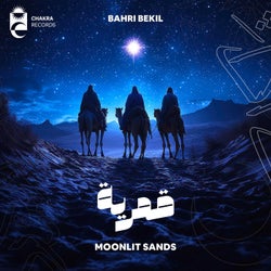 Moonlit Sands