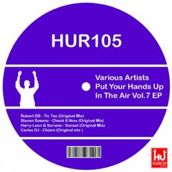 Put Your Hands Up In The Air, Vol. 7 EP