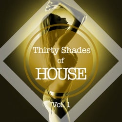 Thirty Shades of House, Vol. 1