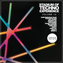Stadium Of Techno Experience, Vol. 12