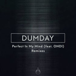 Perfect In My Mind (Remixes)