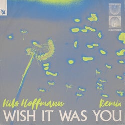 Wish It Was You - Nils Hoffmann Remix