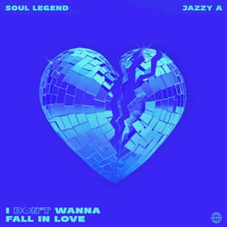 I Don't Wanna Fall in Love (Extended Mix)