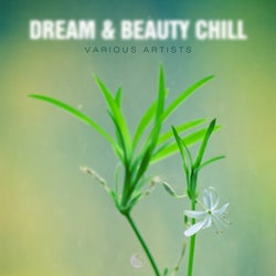Dream & Beauty Chill
