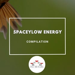 Spaceylow Energy