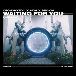 Waiting For You (VIP Mix - Extended Mix)