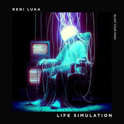 Life Simulation