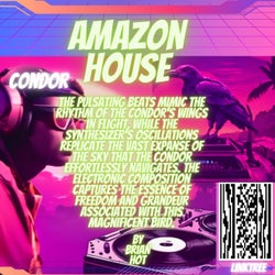 Condor-amazon house