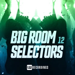 Big Room Selectors, 12