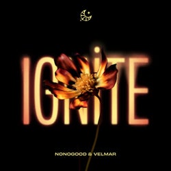 Ignite (Extended Mix)
