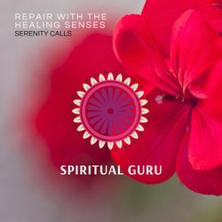 Repair With The Healing Senses