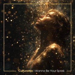 I Wanna Be Your Spark