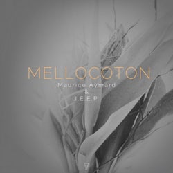Mellocoton
