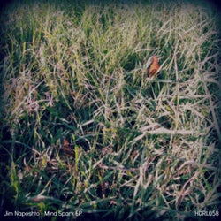 Mind Spark EP