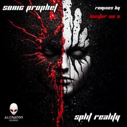 Split Reality