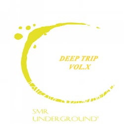 Deep Trip Vol.X
