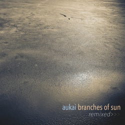 Branches of Sun Remixed