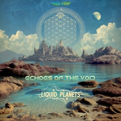 Echoes Of The Void