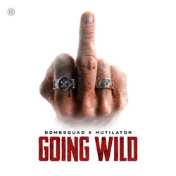 GOING WILD - Extended Mix