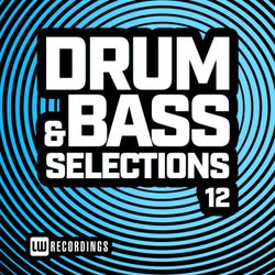 Drum & Bass Selections, Vol. 12