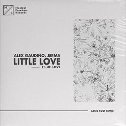 Little Love (feat. Lil' Love) [Arno Cost Extended Remix]