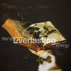 We're Everlasting Energy