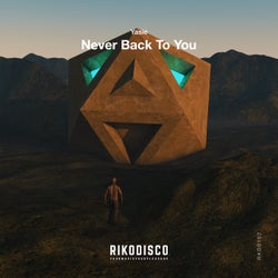 Never Back to You