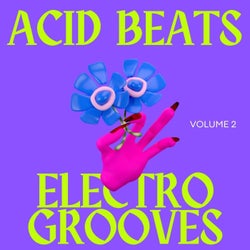 Acid Beats Electro Grooves, Vol.2