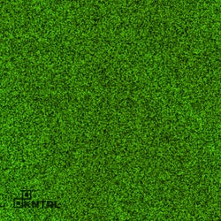 CNTRL New Horizons 1.0