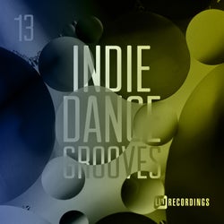 Indie Dance Grooves, Vol. 13