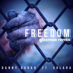 Freedom (Gizzmoe Remix)