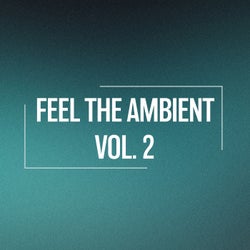 Feel the Ambient, Vol. 2
