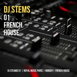 DJ STEMS 01 FRENCH HOUSE (Nobody)