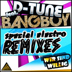 Wir Sind Willig ( Electro Remixes )