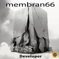 Pochette pour Developer