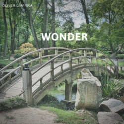 Wonder