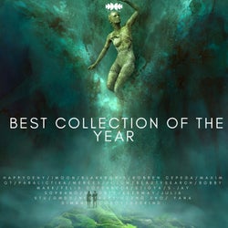 Best Collection of the Year - OMNE ONE