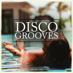 Disco Grooves, Vol. 1 (Fantastic Selection Of Nu Disco Lounge Tunes)
