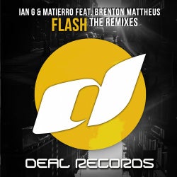 Flash - The Remixes