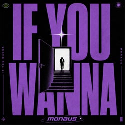 If You Wanna (Extended Mix)