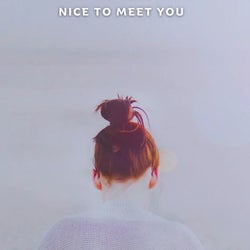 Nice to Meet You